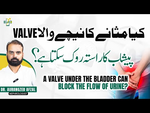 What is Posterior Urethral Valve? | Urinary Valve Problem | Peshab Mein Rukawat Ki Wajuhat Aur Ilaj