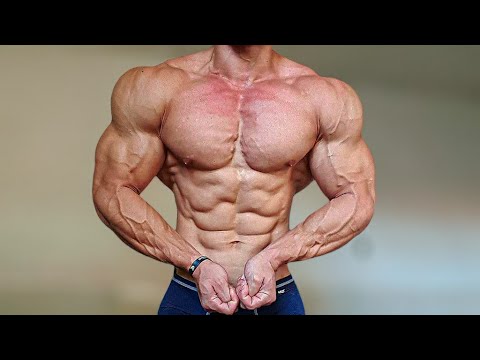 RAMON DO ACRE TREINO DE PEITO COMPLETO EM MENOS DE 3 MINUTOS