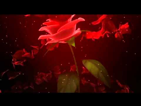 Omar Shooli heestii  Ladnaan Ladnaan hees Aroos ah