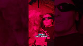 Joining our dog for red light therapy! #dogshorts #doggielife #pets #dogmom #cutedog #dogs