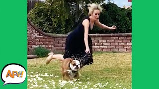 faze tari lovituri si cazaturi