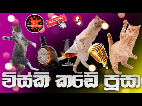විස්කි කඩේ පූසා (New Version)
