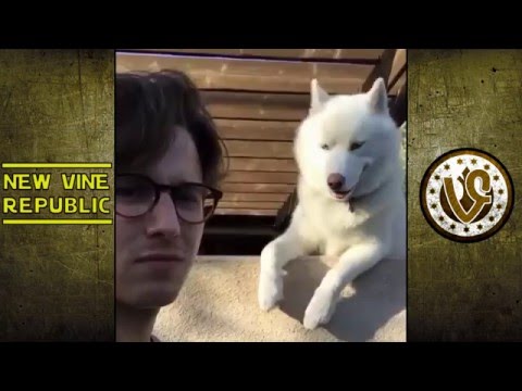 Ben Cahn All Vines // BEST FUNNY VINE COMPILATION 2016