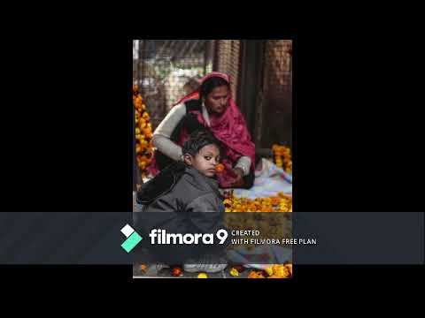 Madari ka Bandar sad status || sadstatus video || sad song