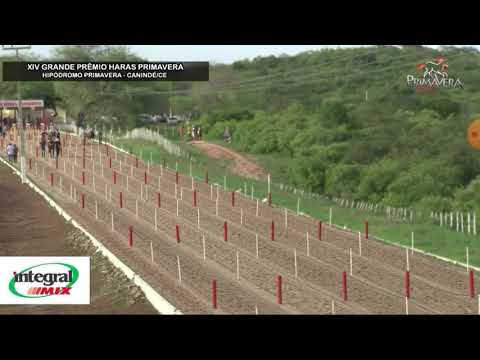 terceiro páreo classificatório GP Haras Primavera