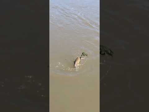 #para ti #pesca deportiva #agua calientes # jujuy #argentina