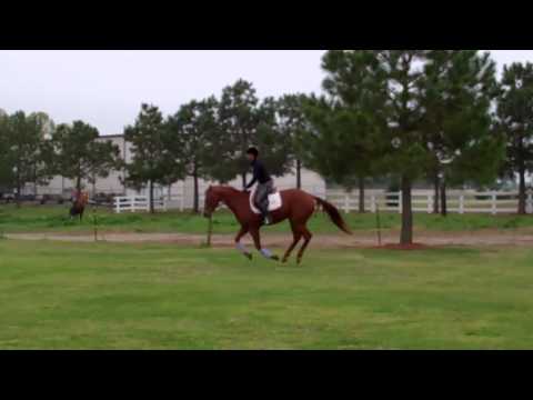 Loralyn and "Taliesin's First Rose" (AKA "Rose") 2