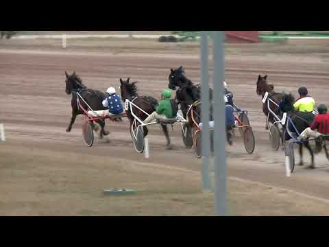 2019.02.02. 02. futam - ŐRANGYAL DÍJ