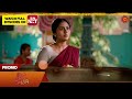 Singappenne Special Promo 13 June 2025 Tamil Serial Sun TV