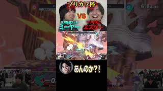#ブリカワ #ブリとカワウソ #スマブラsp #スマブラ