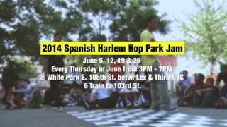 True School Park Jam Series | 2014 The Spanish Harlem Hop [Promo Edit]