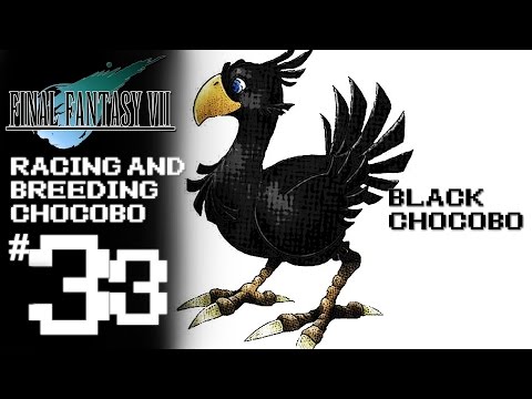 Final Fantasy VII Platinum Trophy Gameplay Walkthrough Part 33 - Racing And Breeding Chocobo