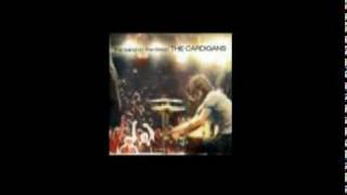 the great divide   -   the cardigans