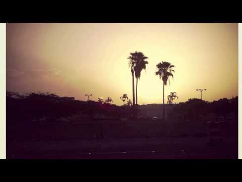 David Puentez ft. Ceresia - Nobody Falls (Alesso's Miami Remix)