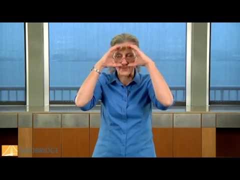 Dementia Video: Changes in Vision - Teepa Snow | MedBridge