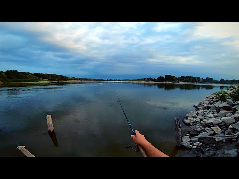 Topwater Summer ASP Fishing