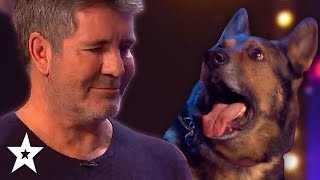 DOG Magician Makes Simon Cowell CRY On Britain's Got Talent 2019! | Got Talent Global