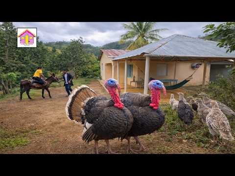 EN ESTE CAMPO DE JANICO SE CONSERVAN MUCHAS  COSTUMBRES  ANTIGUAS