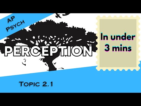Perception Explained in Under 3 mins (AP Psychology Unit 2 Topic 1) 2.1