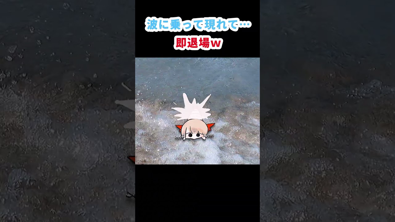 波に乗って現れて…⩌ω⩌【えびの天使ちゃん研究レポート】 #shorts