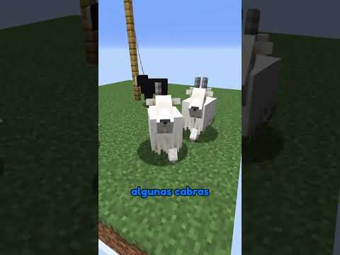 Cómo torturar a una oveja en Minecraft! 🤫