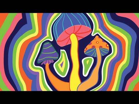 Keter²³ - Holla die Waldfee | Son de Teuf 2023 - Tek - Tribecore