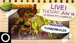 Casually Grounded 2 w/ TimberBuilds