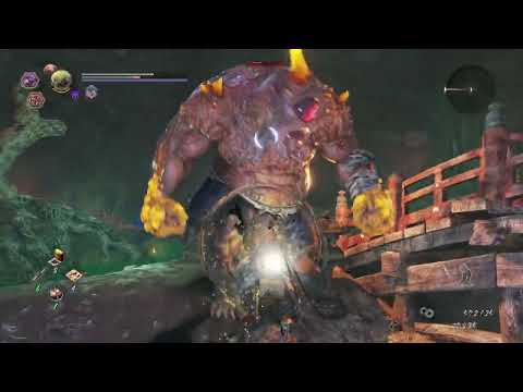 NIOH 2 pt25