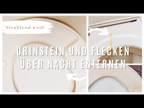 Toilettendeckel strahlend weiß über Nacht I Flecken und Urinstein auf Klobrille so einfach entfernen