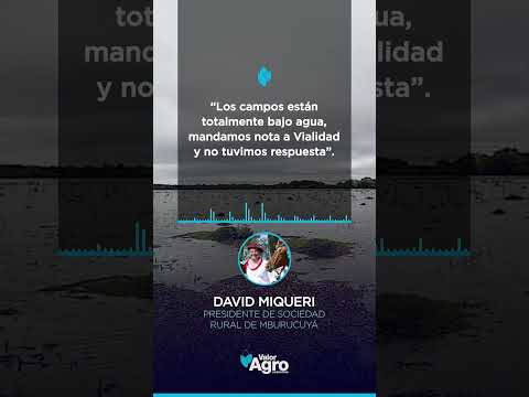 🌧️🚨 “Más de 2.000 hectáreas bajo agua”: el reclamo urgente de productores de Corrientes