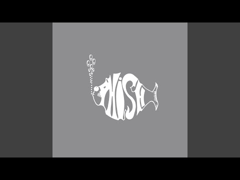 Letter to Jimmy Page - Phish