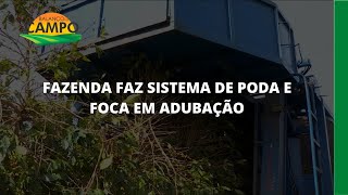 Miniatura do vídeo