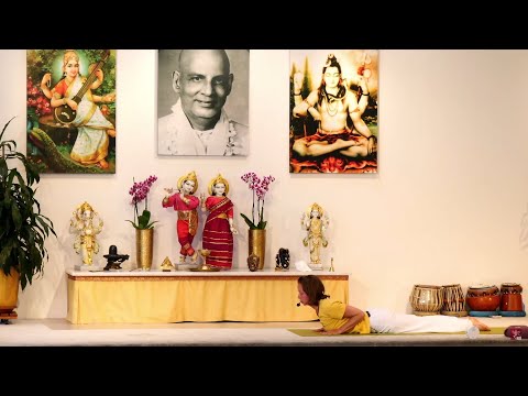 YOGA "Ankommenstunde" mit Jenny - Yoga Vidya Mittelstufe Live - 17:00 Uhr 22.08.2021