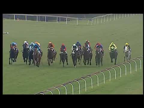 2020.11.28 Merchants (RSA) - Ultra Magnus