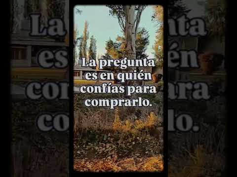 Terra María | Lotes en venta en Fernández Oro | Invertí en tu futuro