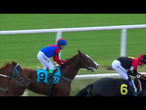 230611 c04 ORIXA (BRZ)