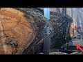 Amazing Fastest Large Wood Sawmill Machine Working Sawmill Wood Cutting