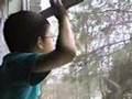 The Colby Chronicles Beautiful Things Autism