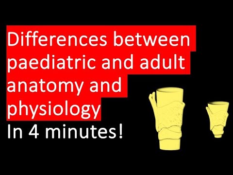 IMPORTANT comparisons between paediatric and adult anatomy, physiology and pharmacology