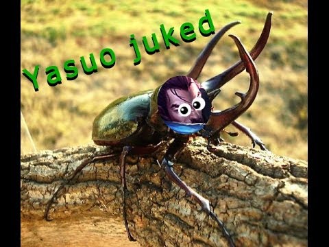 Yasuo juked adept gaming