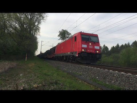 Bombardier TRAXX "185 295-3" DB Cargo • Güterzug • freight train • mixed cargo