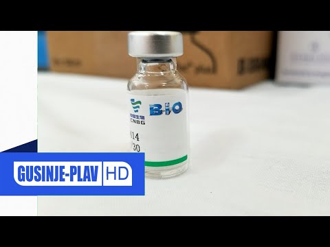 Uspješan početak rada punkta za masovnu vakcinaciju protiv korona virusa u Gusinju