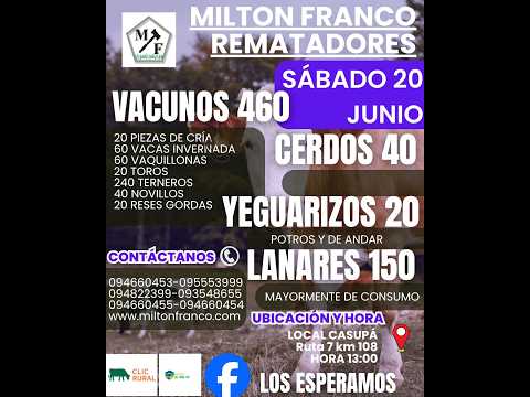 20/06/2026 Local Casupá - Florida - Feria mensual - Milton Franco | Clic Rural