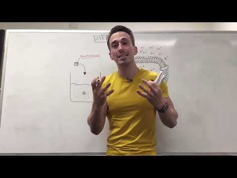 Diffusion | Membrane Transport