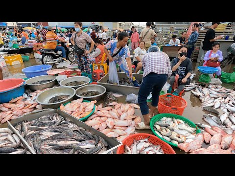 Amazing Site Distribution River Fish, Lobsters & Seafood - Massive Trading Fish Market