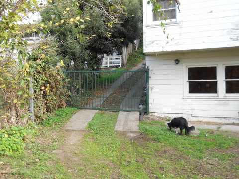 Studio or workplace for rent!