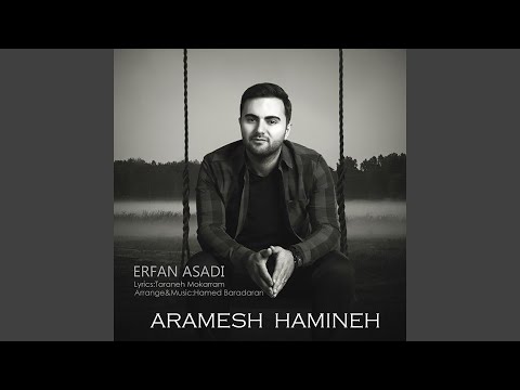 Aramesh Hamineh