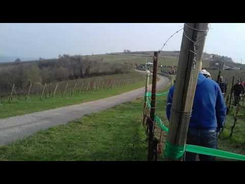 2 Rally Dei Colli Scaligeri 2017