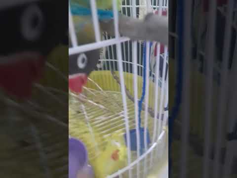 23 de setembro de 2023