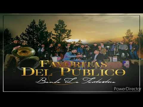 CUANDO NADIE TE QUIERA / SABIENDO QUIÉN ERA YO / CON CARTITAS Y PALABRAS BANDA LA FANTASTICA